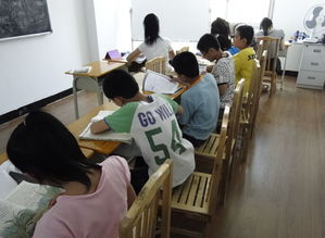 如何選擇合適的初中補(bǔ)習(xí)班、小學(xué)三年級(jí)語(yǔ)文補(bǔ)習(xí)及物業(yè)管理服務(wù)