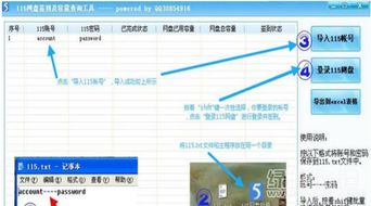 115網(wǎng)盤(pán)簽到及容量查詢工具 v1.1 提升網(wǎng)盤(pán)管理效率的必備助手